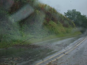 Downed limb