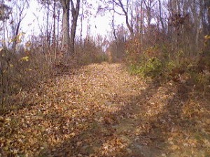 You mean I still have to hike up this?  Oh well.  It was so pretty!