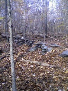 f75bc31dbf05 Rock Fence..I'm not sure WHO put these there..but maybe indians many years ago? I should ask my history buff mom...