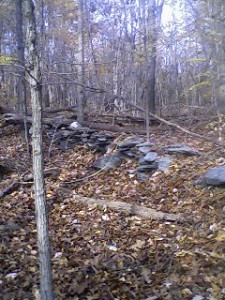 Rock Fence..I'm not sure WHO put these there..but maybe indians many years ago? I should ask my history buff mom...